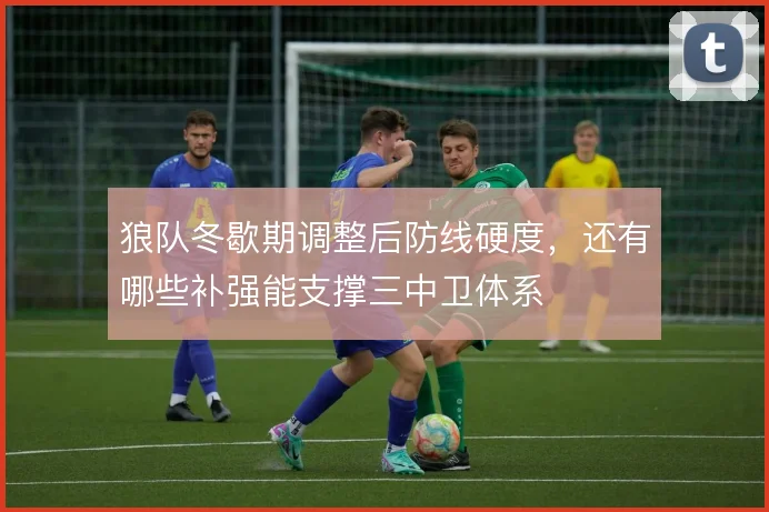 狼队冬歇期调整后防线硬度，还有哪些补强能支撑三中卫体系