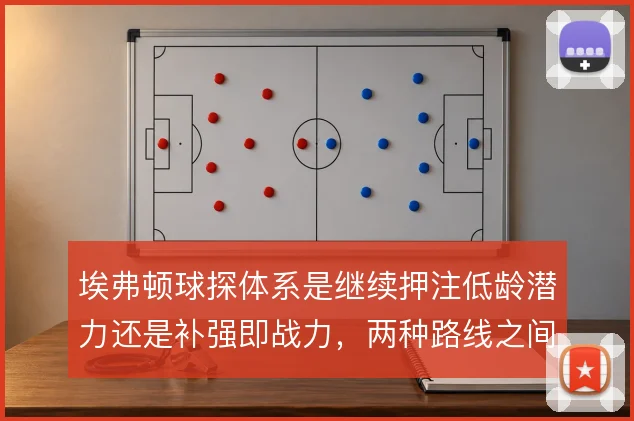 埃弗顿球探体系是继续押注低龄潜力还是补强即战力,两种路线之间如何取舍