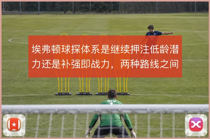 埃弗顿球探体系是继续押注低龄潜力还是补强即战力，两种路线之间如何取舍