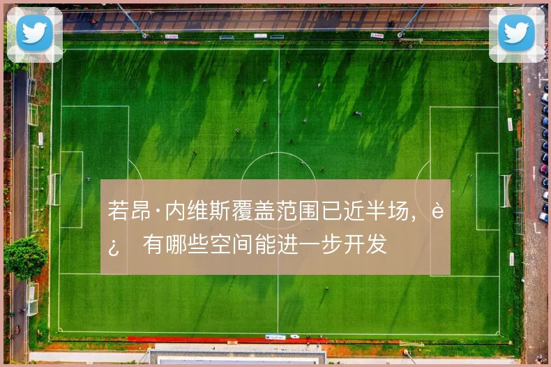 若昂·内维斯覆盖范围已近半场,还有哪些空间能进一步开发